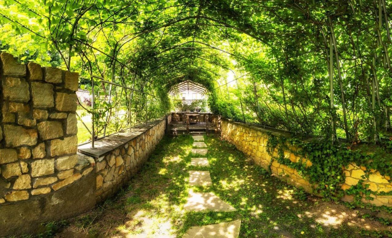 Apartmán Monte Cuma Uroczysko Pod Zamkiem Grodziec Zagrodno Exteriér fotografie